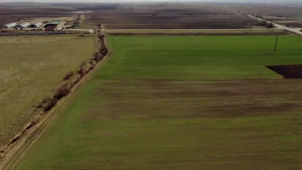 Природа Пейзаж Воздушный Вид Поле Рядом Дорогой Выращивание Зеленая Трава — стоковое видео