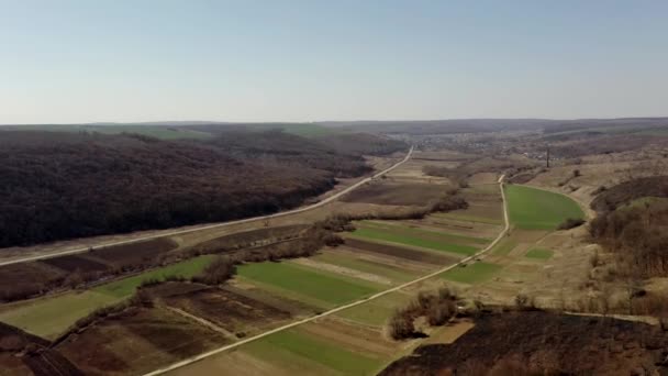 Doğa Manzara Yol Kenarındaki Bir Tarlanın Havadan Görünüşü Tarım Yeşil — Stok video