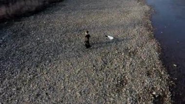 Çevre kavramını kaydedin, küçük bir çocuk çöpleri ve plastik şişeleri toplayıp çöpe atıyor.