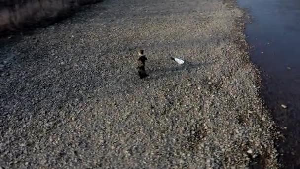 Ahorrar Concepto Medio Ambiente Niño Recogiendo Basura Botellas Plástico Playa — Vídeos de Stock