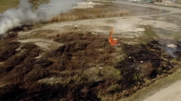 Luftverschmutzung durch Flächenbrände, Rauchwolken über dem brennenden Feld, Luftaufnahmen. Epische Naturkatastrophe, Waldbrand im Sommer — Stockvideo