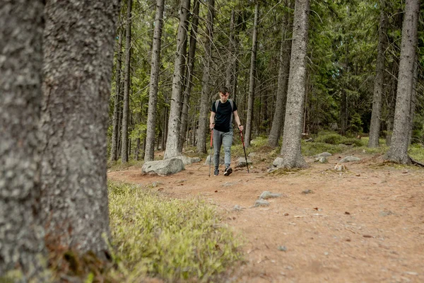 Homem Turista Numa Floresta Pinheiros Com Uma Mochila Uma Viagem — Fotografia de Stock