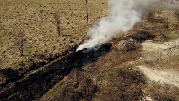 Luftföroreningar Orsakade Skogsbränder Rökmoln Ovanför Det Brinnande Fältet Flygbilder Episk — Stockvideo