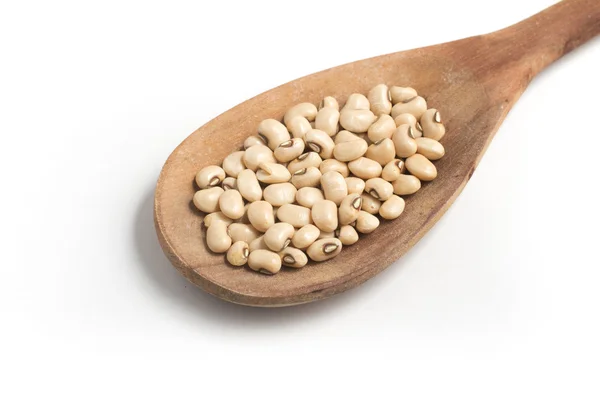 Fradinho White Beans into a spoon — Stock Photo, Image