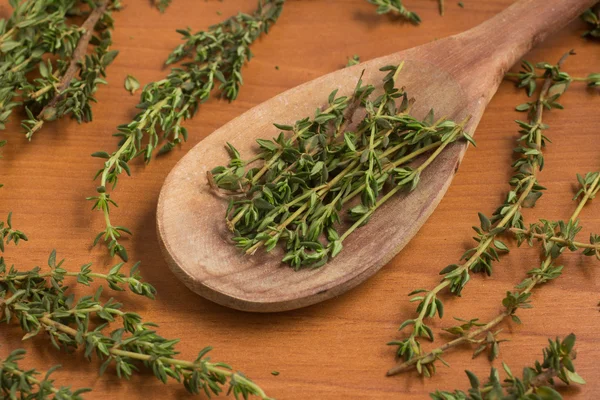 Fresh Thyme into a spoon — Stock Photo, Image