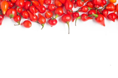 Biquinho biber çerçeve. Capsicum Chinense 