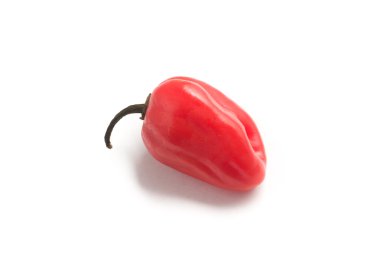 Fresh Habanero Pepper clipart