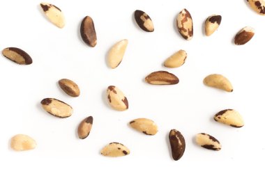 Brezilya fındık yakın çekim fotoğraf. Castanha yapmak Para