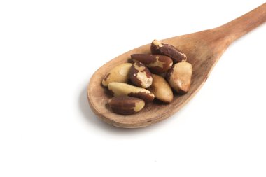 Brazilian Nuts into a spoon. Castanha do Para