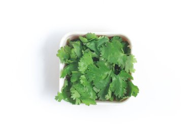 Bir kaşık içine taze kişniş