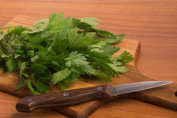 Frische Petersilienblätter. frische Kräuter — Stockfoto