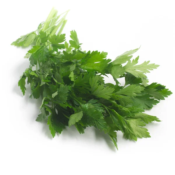 Fresh Parsley Leaves. Fresh Herbs — Stock Photo, Image