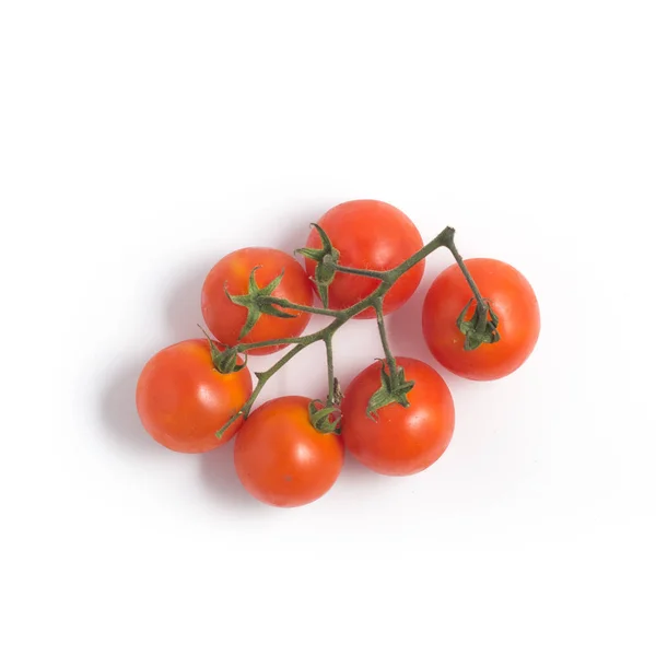 Ramas de tomates cherry — Foto de Stock