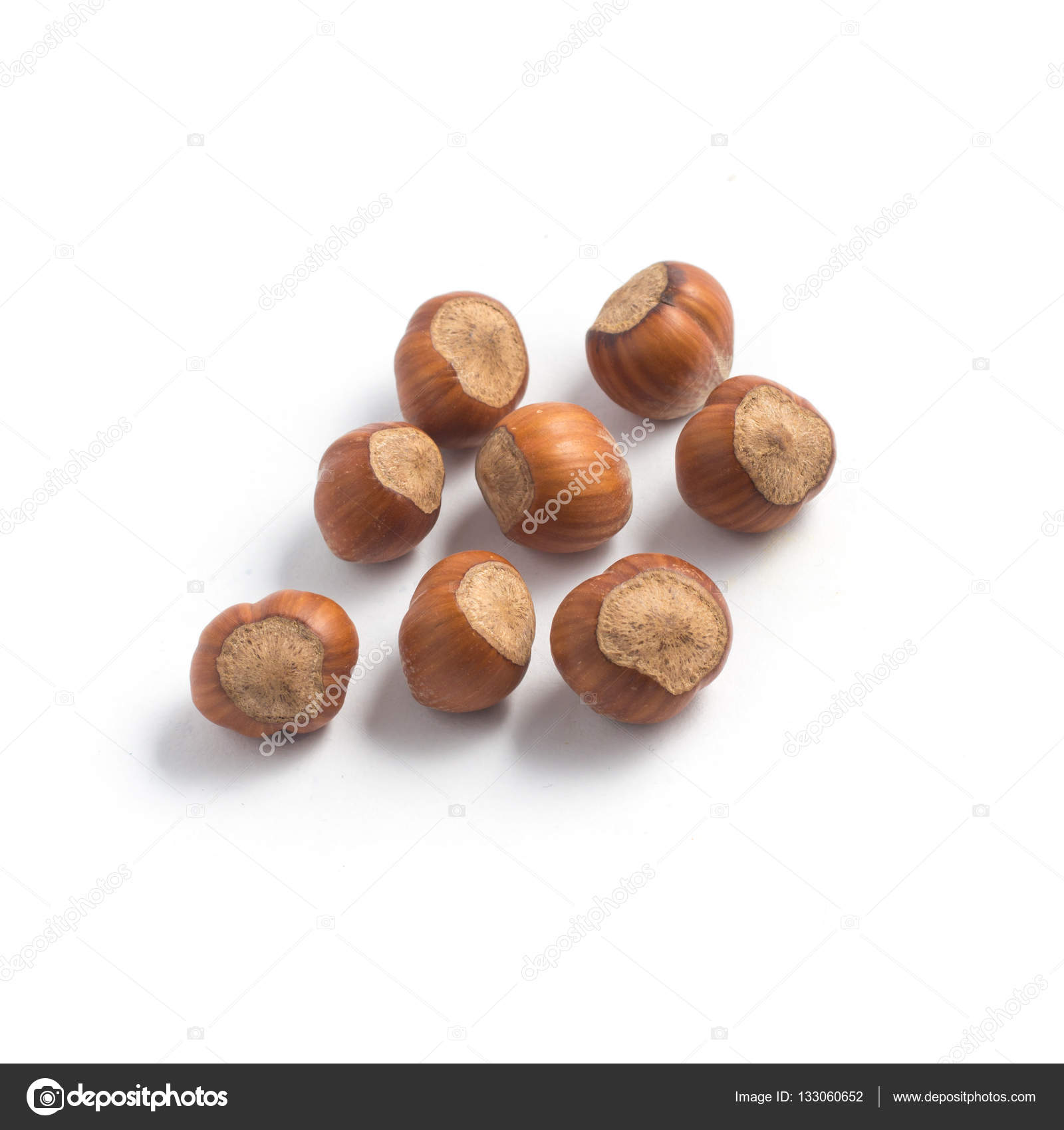 Whole Hazelnut Seeds Stock Photo by ©barkstudio 133060652