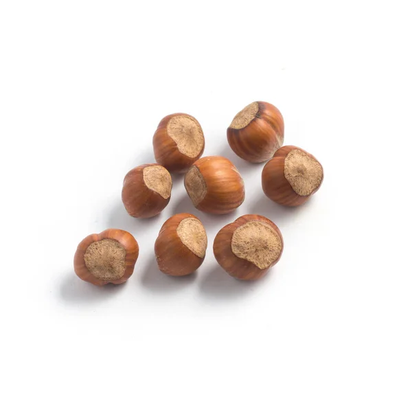 Whole Hazelnut Seeds — Stock Photo, Image