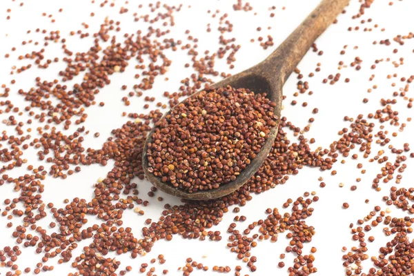 Sementes de quinoa vermelha — Fotografia de Stock