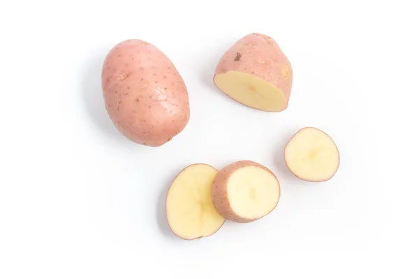 Rosa potatis. Asterix — Stockfoto