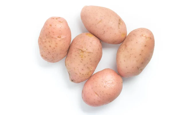 Rosarote Kartoffel. Sternchen — Stockfoto