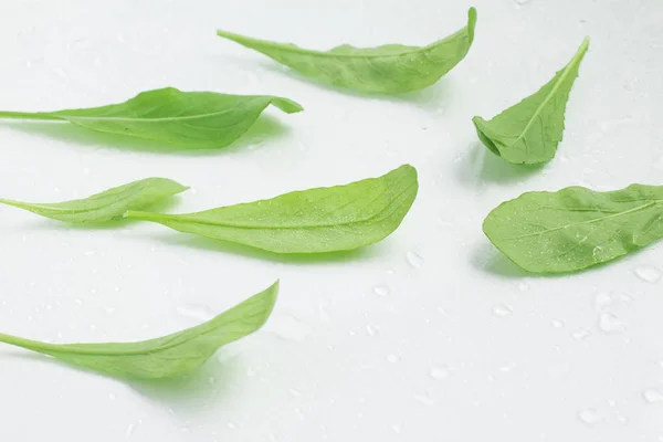 Arugula Leaves. Foglia — Foto Stock