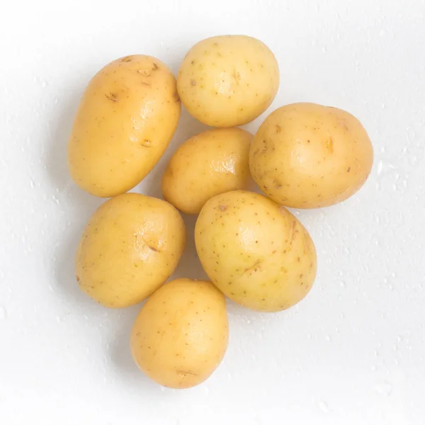 젖은 아기 감자 — 스톡 사진