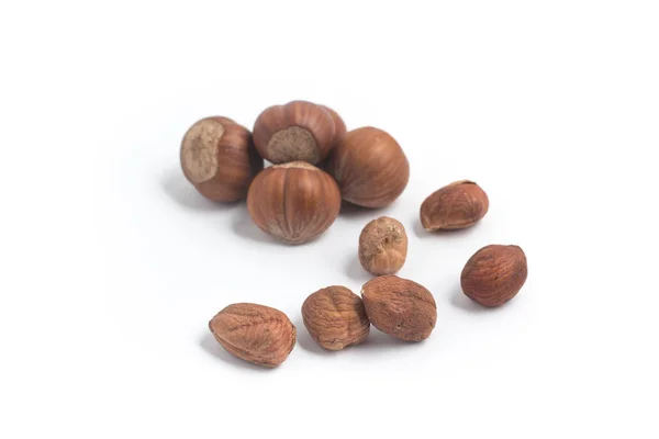 Hazelnut. Close-up photo — Stock Photo, Image