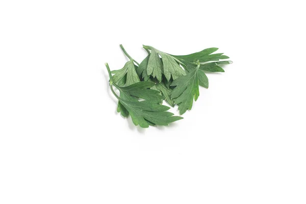 Fresh Parlsey Leaves — Stock Photo, Image