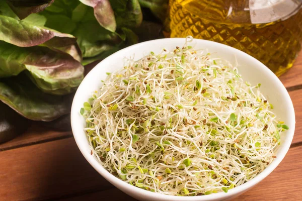 Alfalfa Sprouts into a bowl — Stock Photo, Image