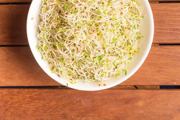 Brotes de alfalfa en un tazón — Foto de Stock