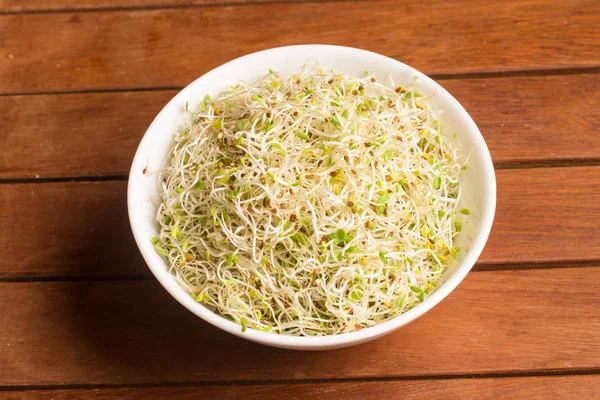 Alfalfa Sprouts into a bowl — Stock Photo, Image