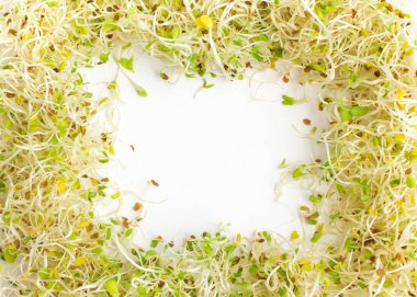 Yonca filizi çerçeve