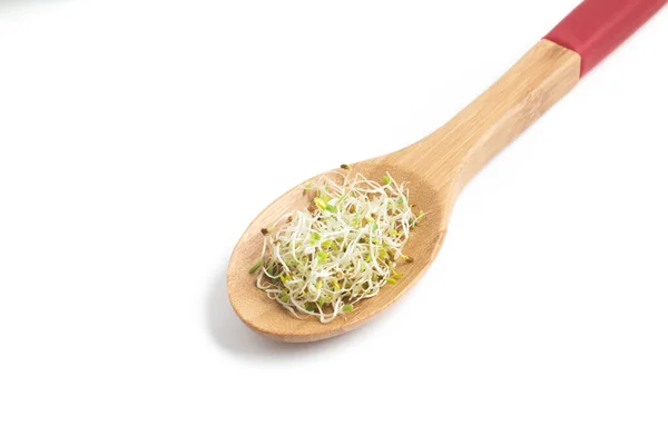 Alfalfa Sprouts into a spoon — Stock Photo, Image