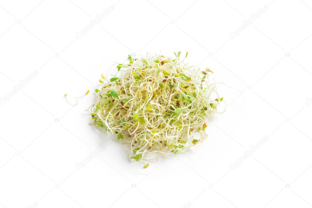 Heap of Alfalfa Sprouts