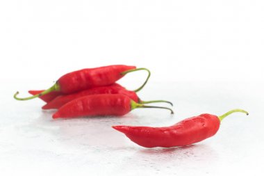 Dedo de Moca Chilly Pepper