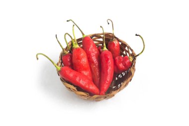 Dedo de Moca Chilly Pepper