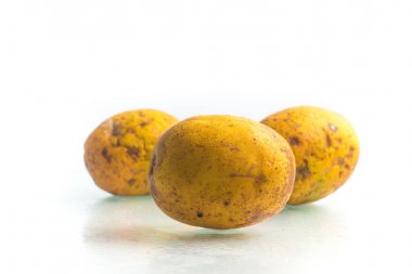 Caja-Manga Fruit. Spondias dulcis 