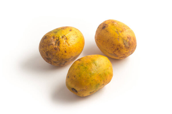 Caja-Manga Fruit. Spondias dulcis 