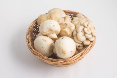 Mantar çeşitli. Champignon ve Shimeji bir sepet içine