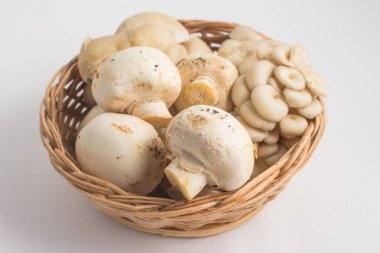 Mantar çeşitli. Champignon ve Shimeji bir sepet içine