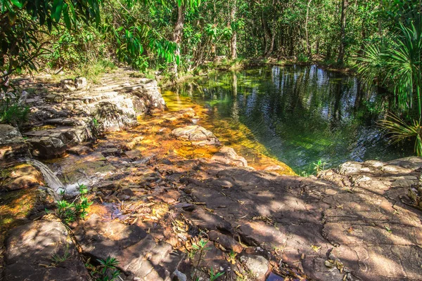 Pirenopolis grupta Rosario mavi kuyuda