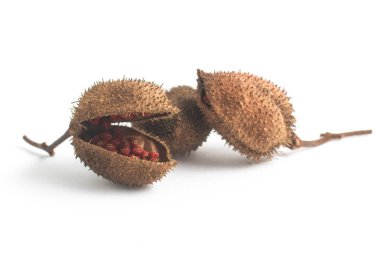 Brezilya Urucum Annatto tohumları