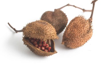 Brezilya Urucum Annatto tohumları
