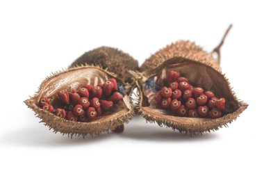 Brezilya Urucum Annatto tohumları