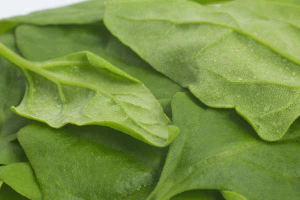 Brazilian Spinach Leaves Frame — Stock Photo, Image