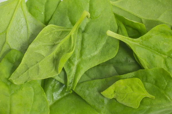 Brazilian Spinach Leaves Frame — Stock Photo, Image