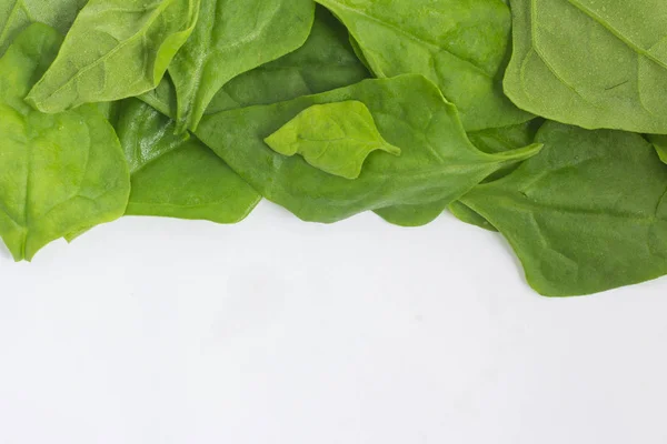 Brazilian Spinach Leaves Frame — Stock Photo, Image