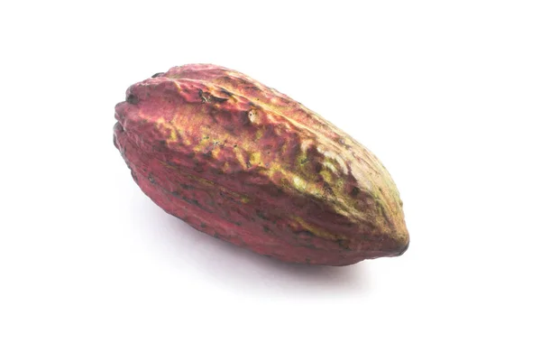 Бразильский какао-фрукт — стоковое фото