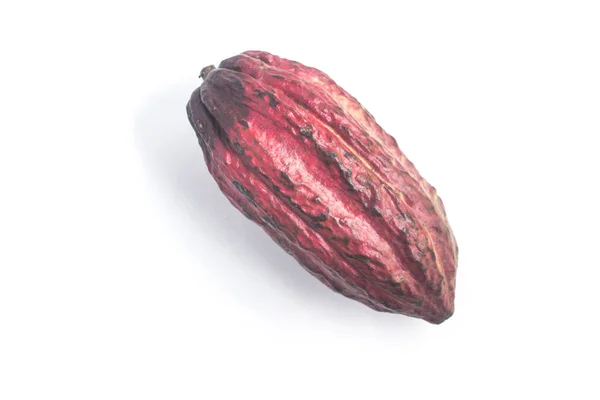 Cacao brasileño Fruta —  Fotos de Stock