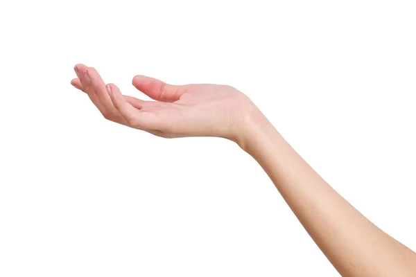Beyaz arka plan üzerinde izole bir şey boş, açık tarafı tutan kadının el.