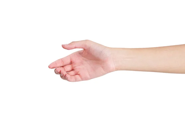 Manos de mujer dando su mano para apretón de manos, lado frontal, aislada sobre fondo blanco . —  Fotos de Stock