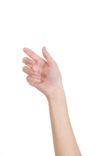 Рука жінки тримає щось порожнє лицьове, ізольоване на білому тлі . — стокове фото